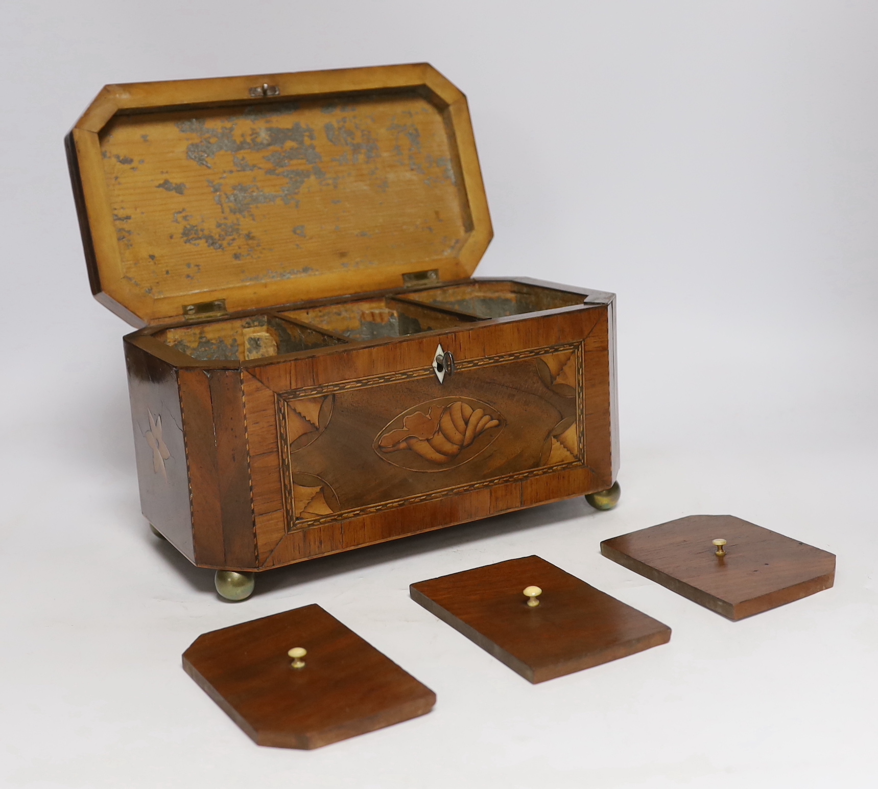 An early 19th century shell inlaid cross banded mahogany tea caddy, 26cm wide